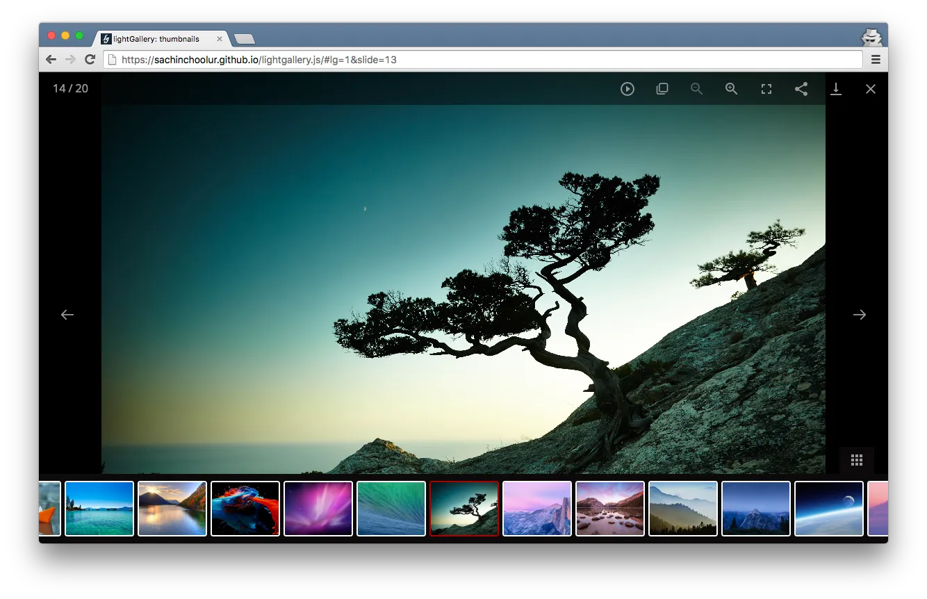 LightGallery preview